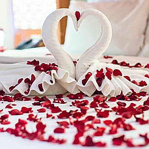 Honeymoon Fund