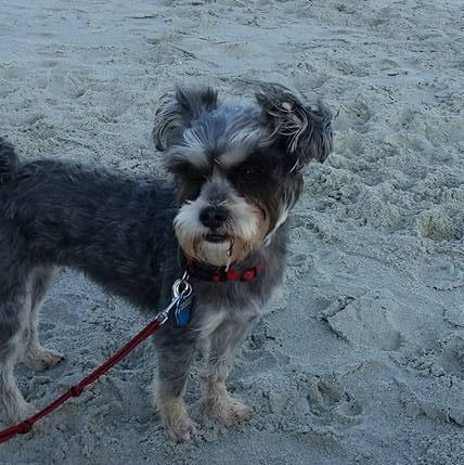 Oldest child - Zoey Anne