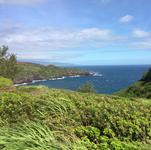Waiane Ridge Trail