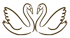 The Wedding Website of Sam Anthony and Rachel Etzel