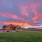 Point Lookout Vineyards