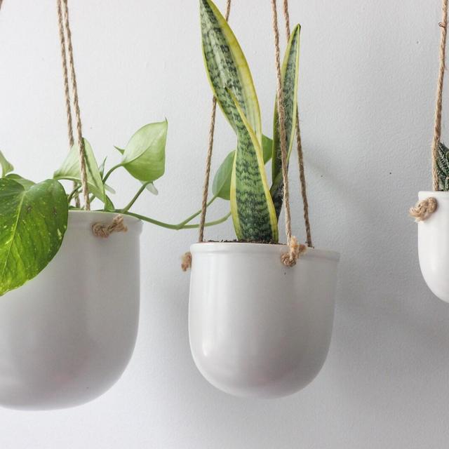 Minimalist Hanging Planter Pot in Matte White