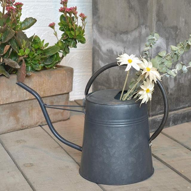 HORTICAN Galvanized Watering Can Modern Style Watering Pot with Handle for Outdoor and Indoor House Plants (0.6 gal/Black Zinc)