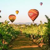 A Grape Escape Balloon Adventure