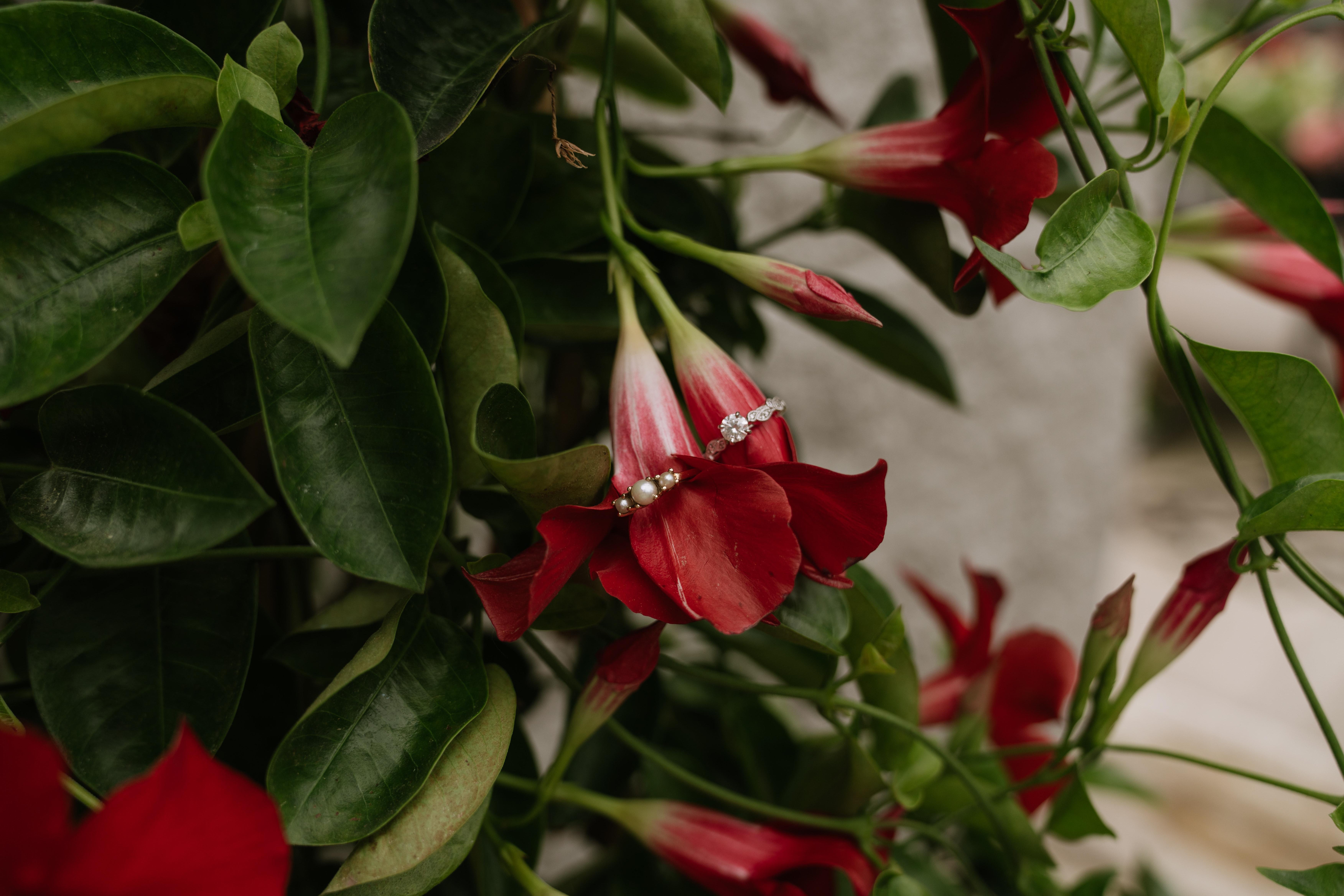 The Wedding Website of Alexandra Ramer and Broc Bohning