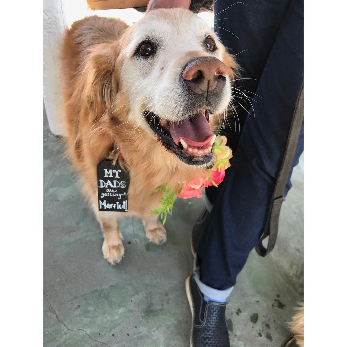 Smiling Sadie