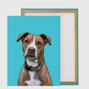 Custom Pet Painting