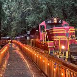 The Skunk Train & Railbiking