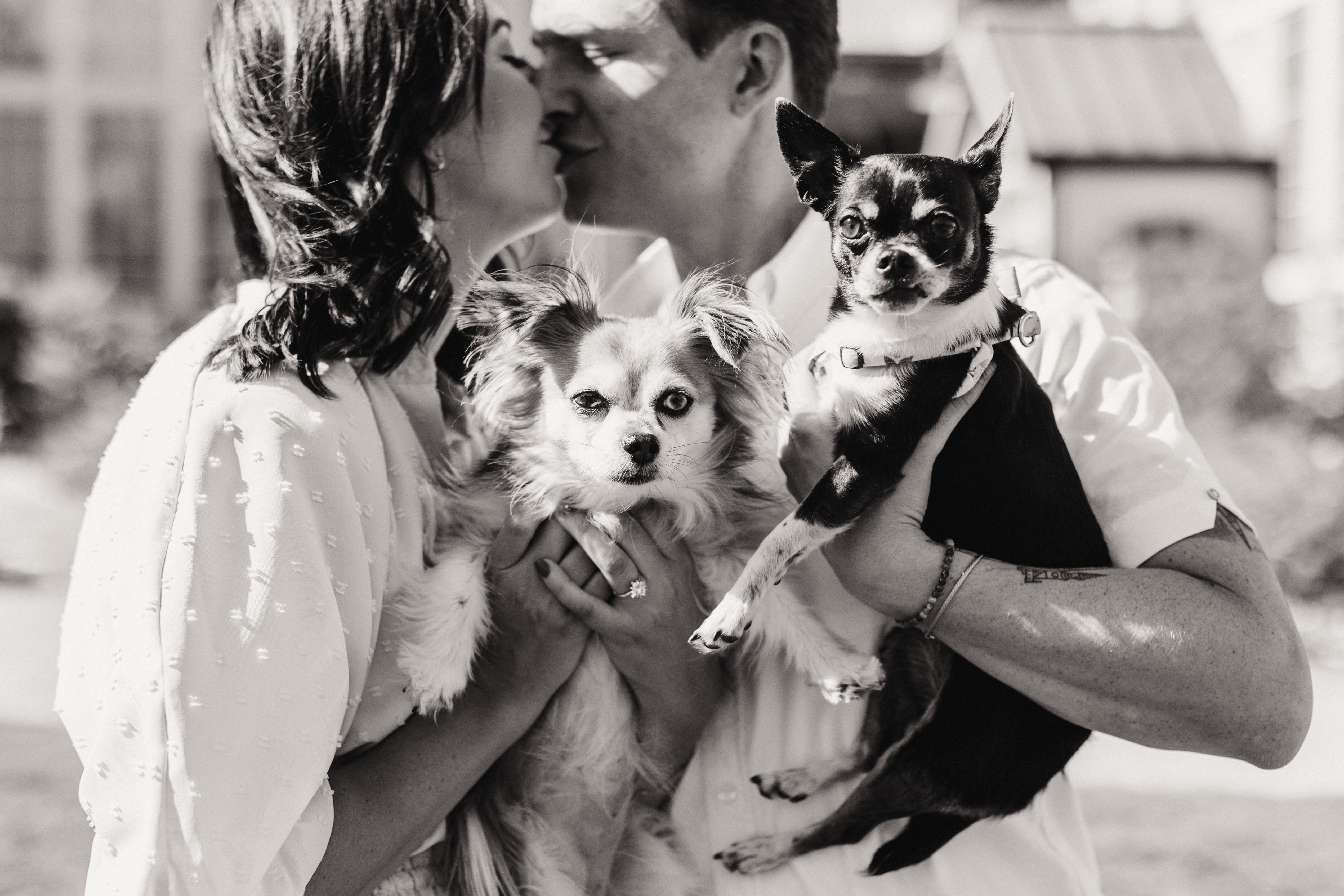 The Wedding Website of Rachel DiBattista and Matt Reynolds