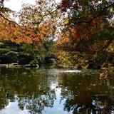 Fort Worth Japanese Garden