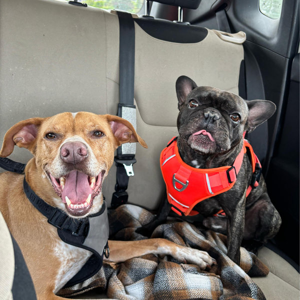 Roadtrip