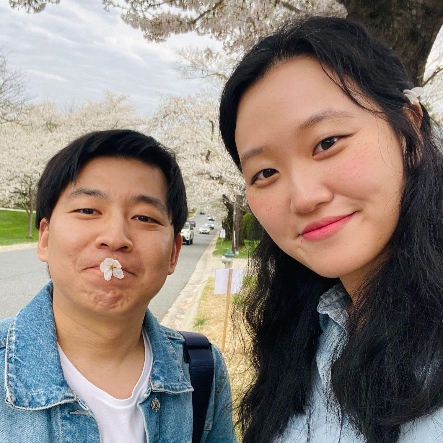 Mar 2024 - Kenwood Cherry Blossom Community