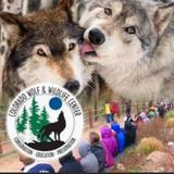 Visit the Colorado Wolf and Wildlife Center