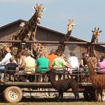 Lazy 5 Ranch