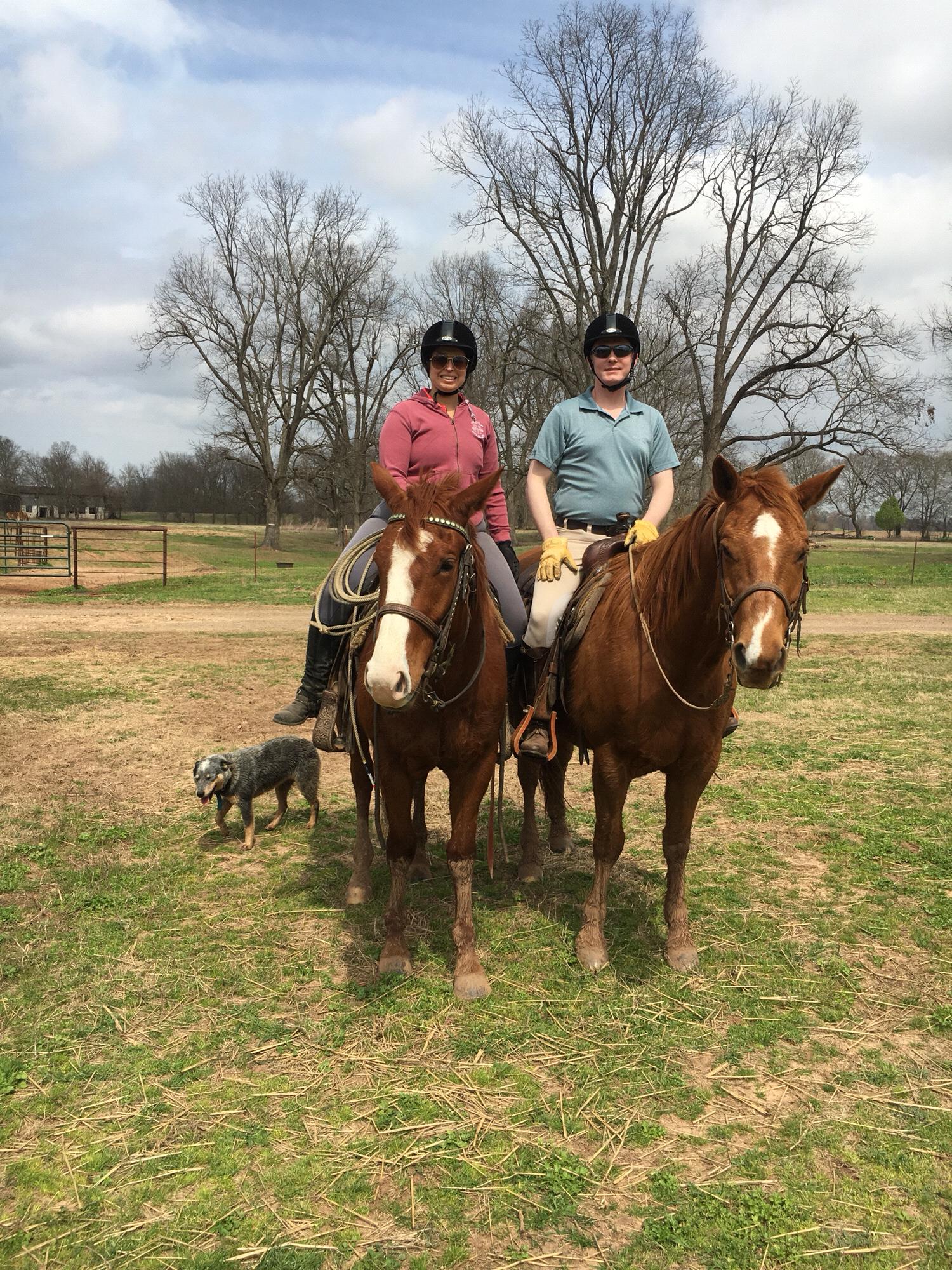 Working cattle on the Lazy Colt Ranch