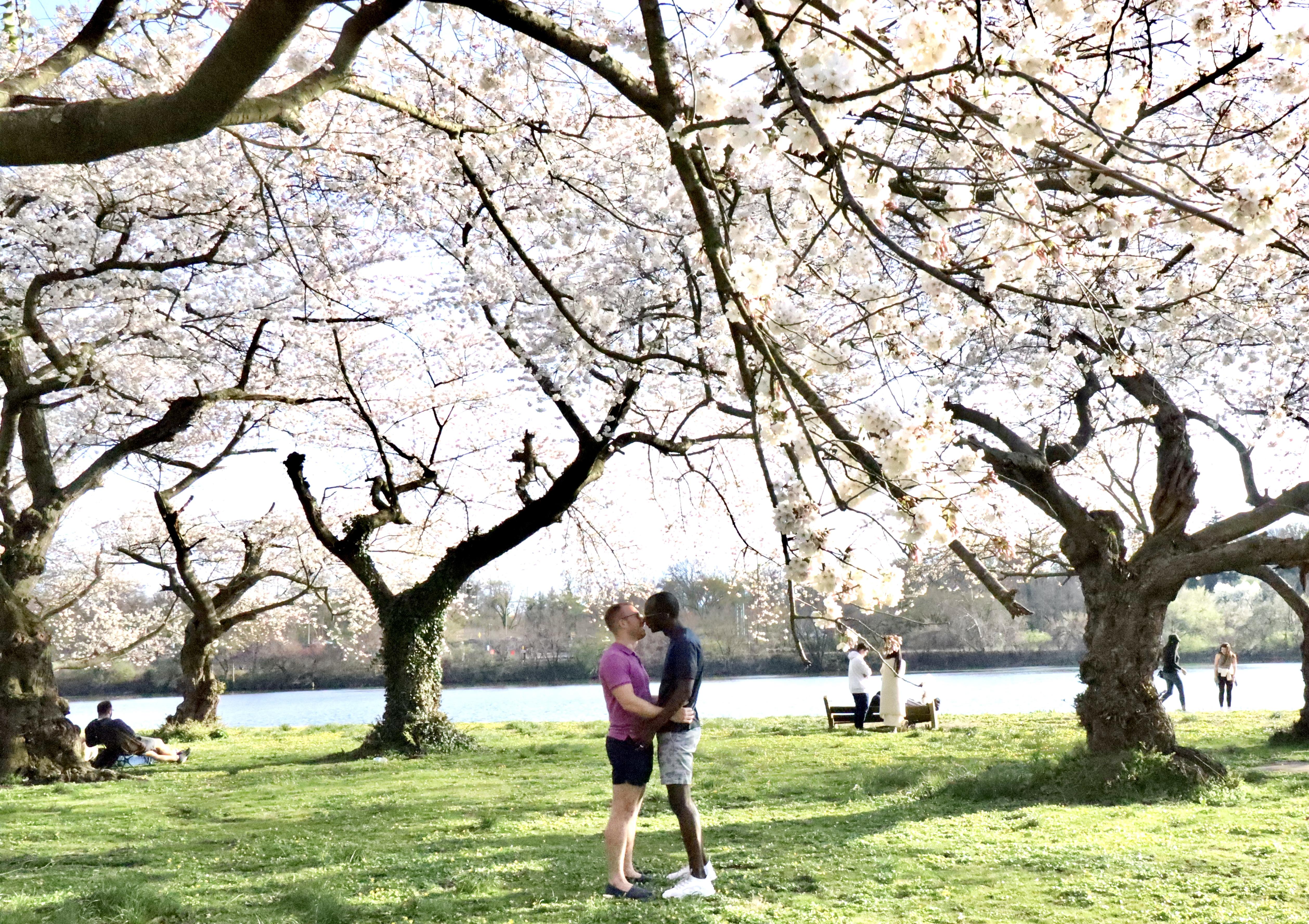 The Wedding Website of Anthony Lewis and Daniel Simpson