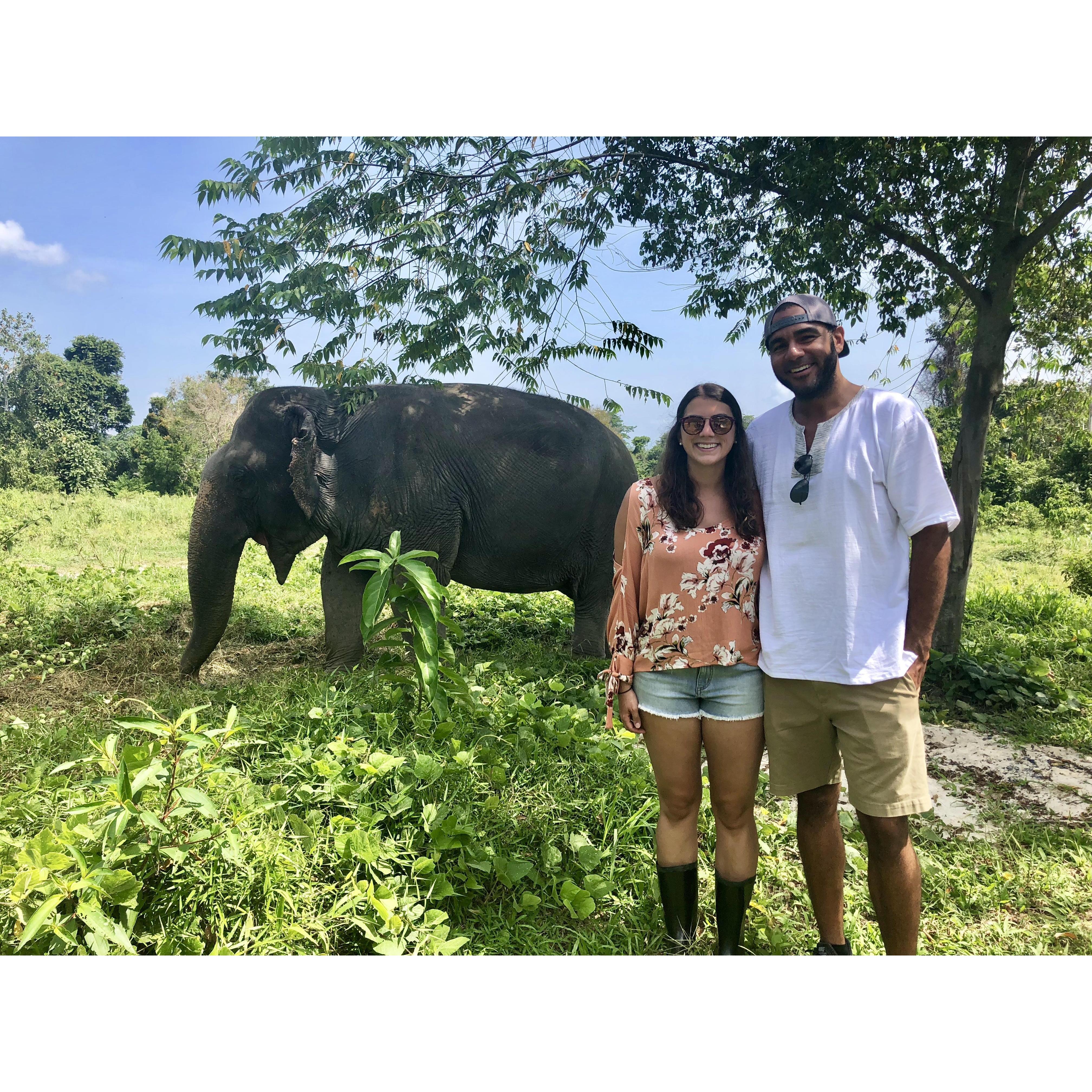 Thailand Elephant Sanctuary