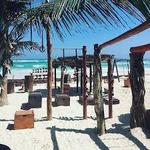 Tulum Jungle Gym