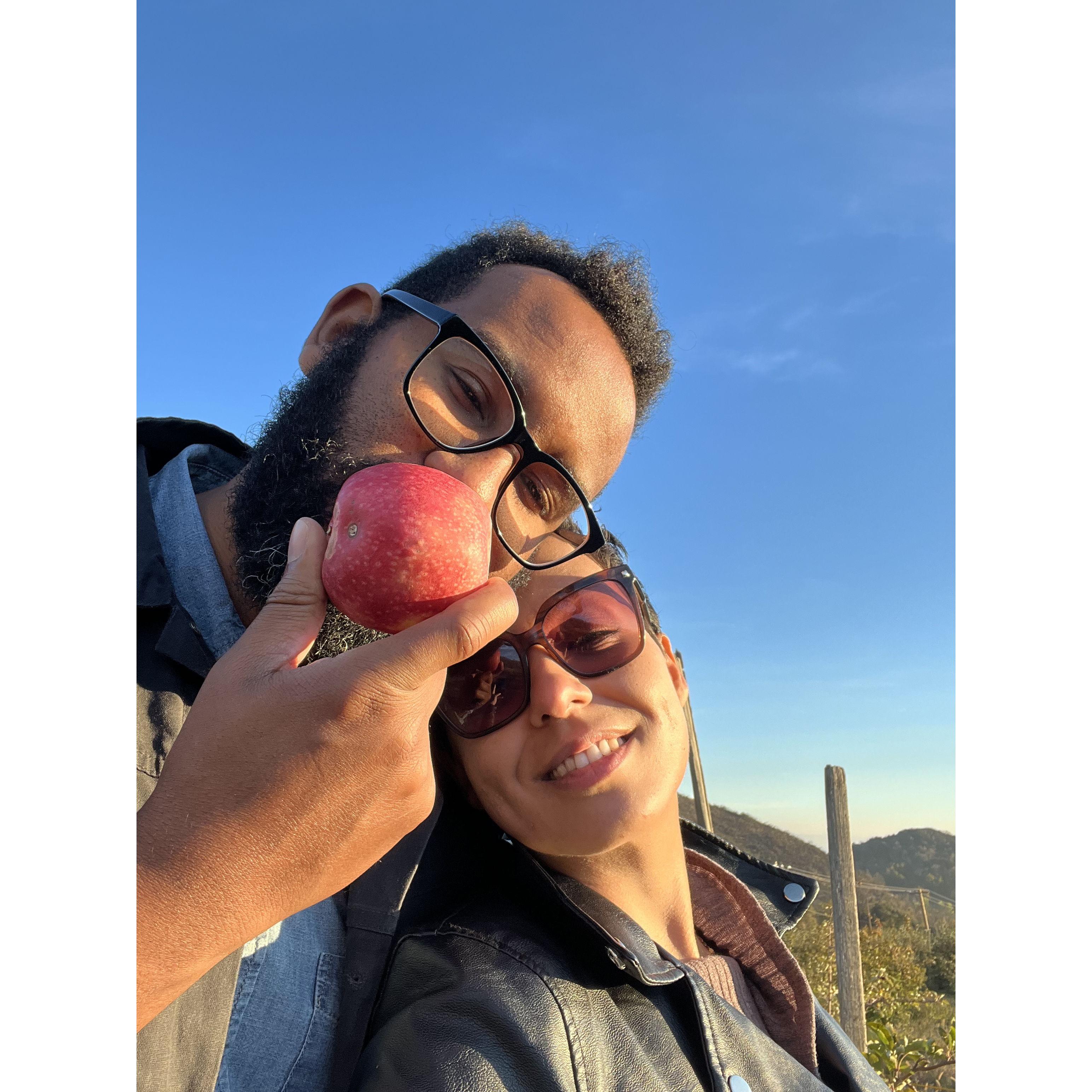 Theo's first time apple picking, he was disappointed to say the least.