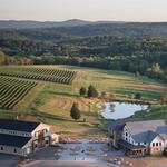 Stone Tower Winery🍷