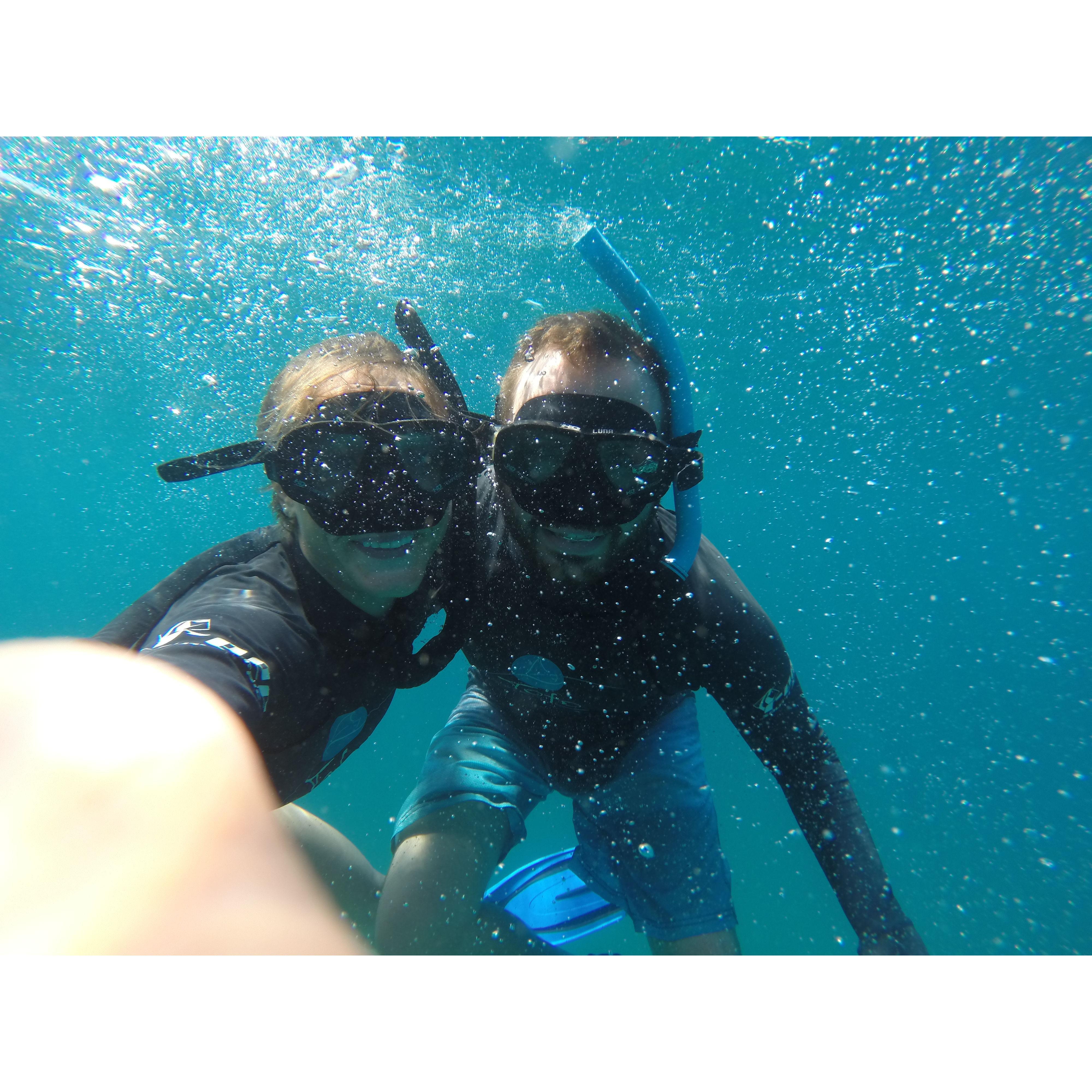 Snorkeling with whale sharks and dolphins, Tofu, Mozambique, Africa. (September 2014)