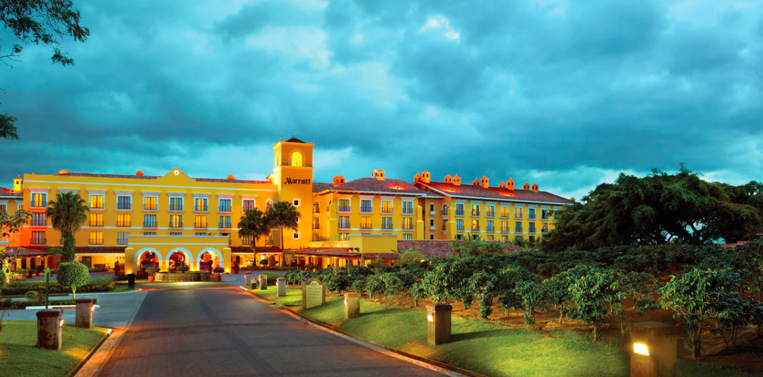 The Wedding Website of Ivonne Mitchell and Mauricio Ayales