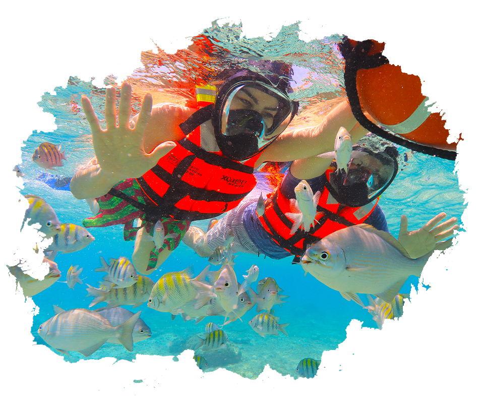 The Wedding Website of Chris Jackson and Mariela Mendoza