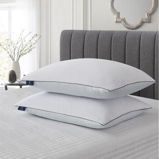 Summer/Winter Goose Feather Pillow, Set of 2