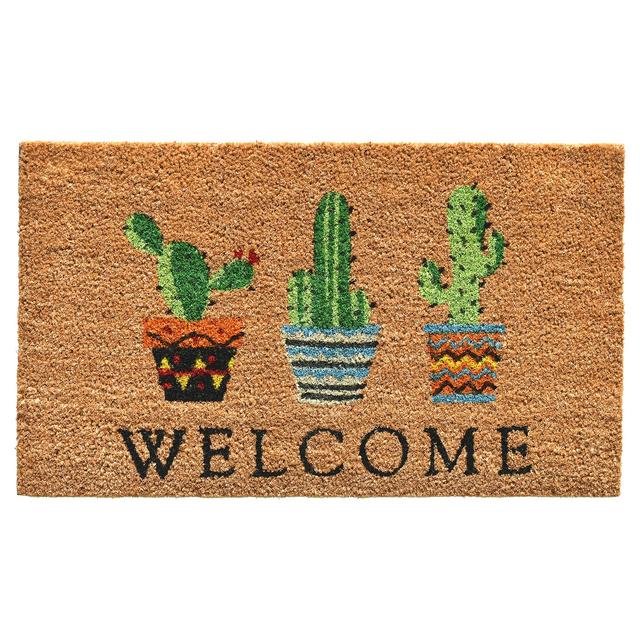 Calloway Mills 104051729 Cactus Welcome Doormat, 17&quot; x 29&quot;, Multicolor