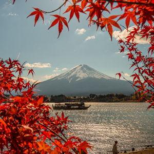 Japan Honeymoon Fund