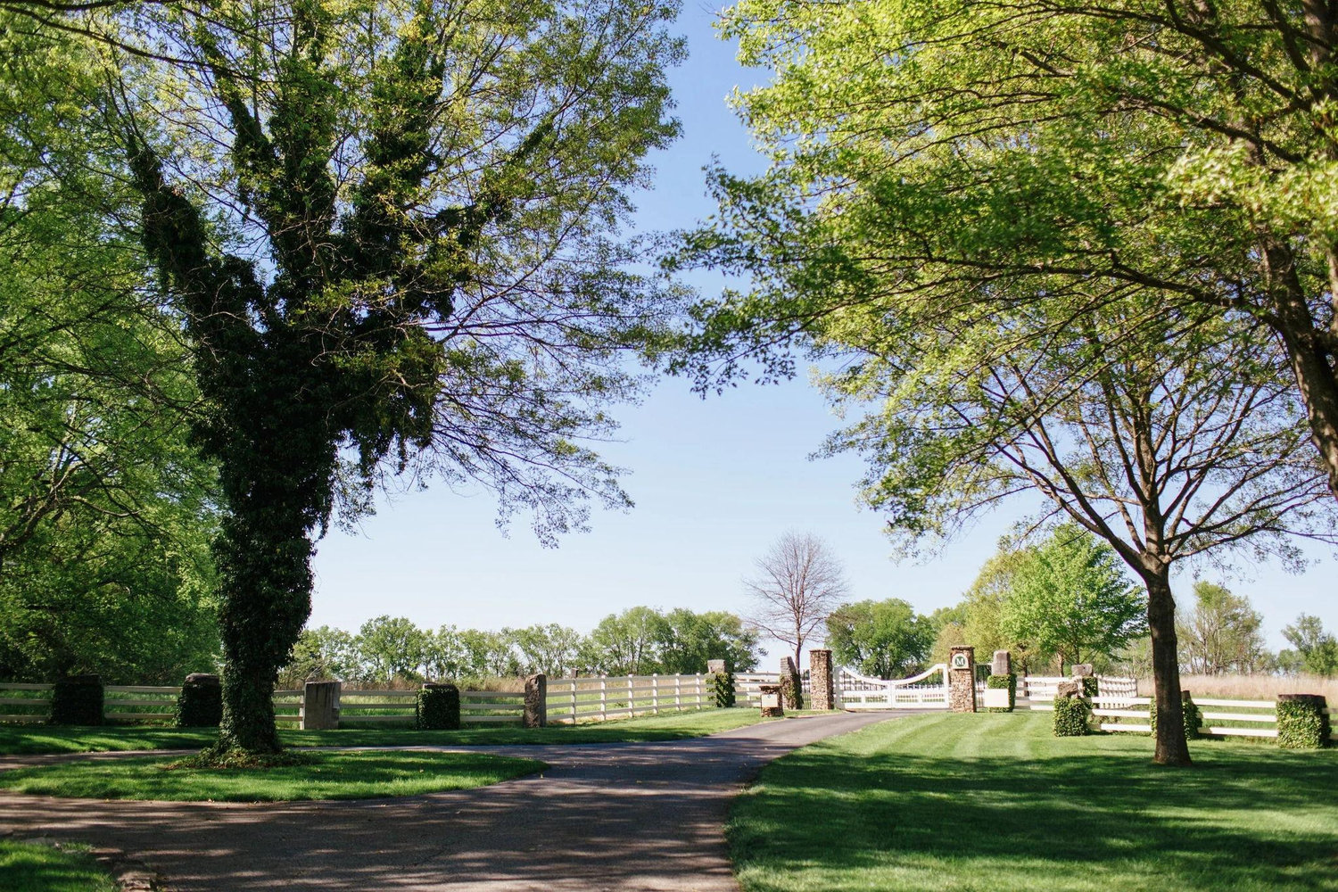 The Wedding Website of Kelsey Dykes and Zachary Miller