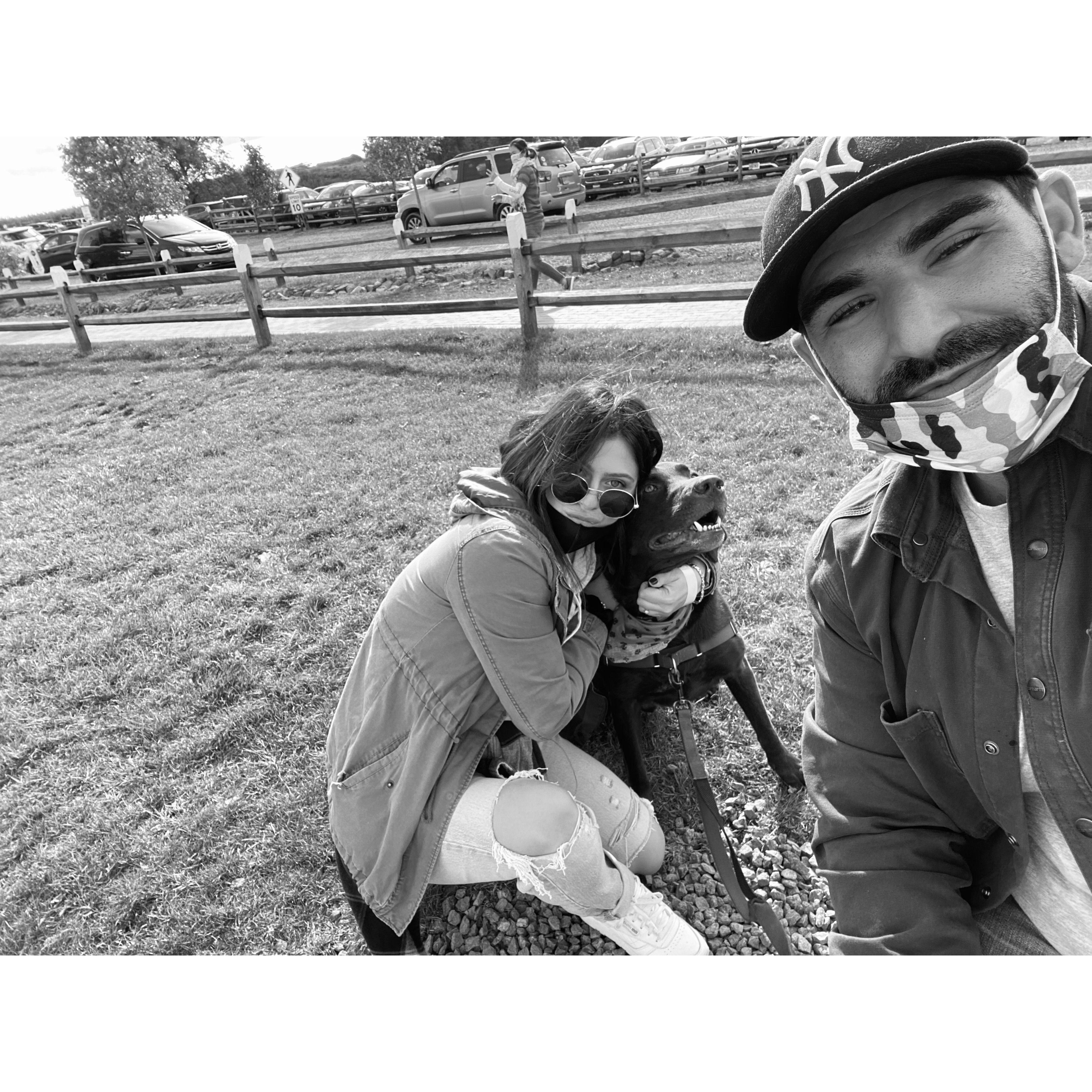 First family trip apple picking... didn't get to pick any apples because Bentley wasnt allowed in the Orchid
