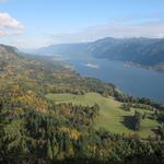 Cape Horn