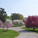 Des Moines Water Works Park