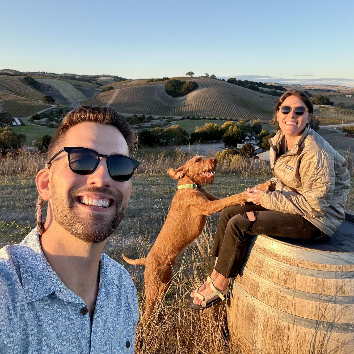 Quick winery pit stop on our CA > NV > AZ fall road trip!