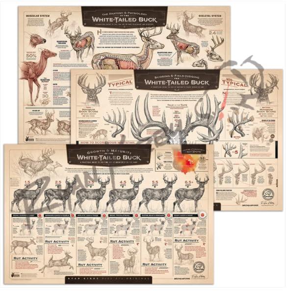 Ryan Kirby The Art of Hunting Bundle
