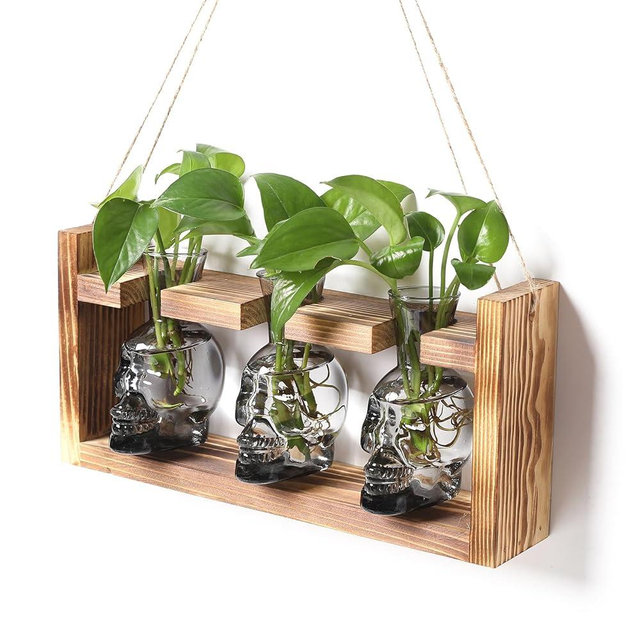 Plant Terrarium Propagation Stations Hydroponics Halloween Skull Planter Vase Skulls Decor with Wooden Stand Gife for Father