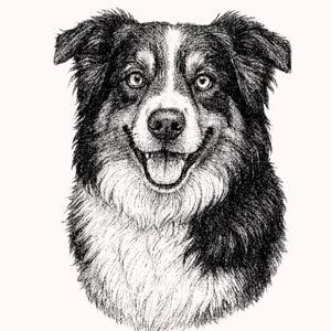 Bug's Brother Fund
