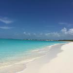 Beach Life