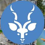 The Saint Louis Zoo (at Forest Park)