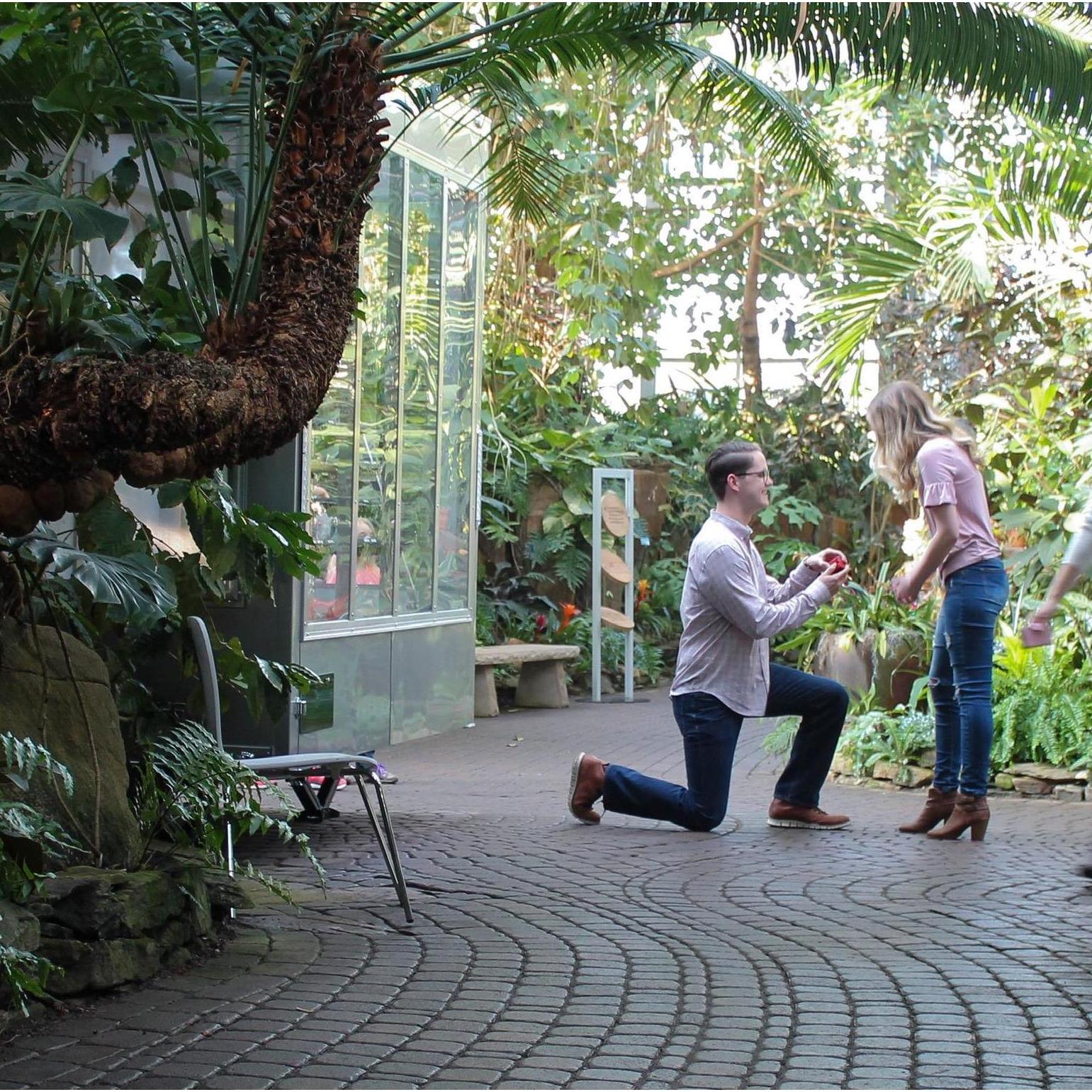 Jack's proposal at the beautiful Meijer Gardens.