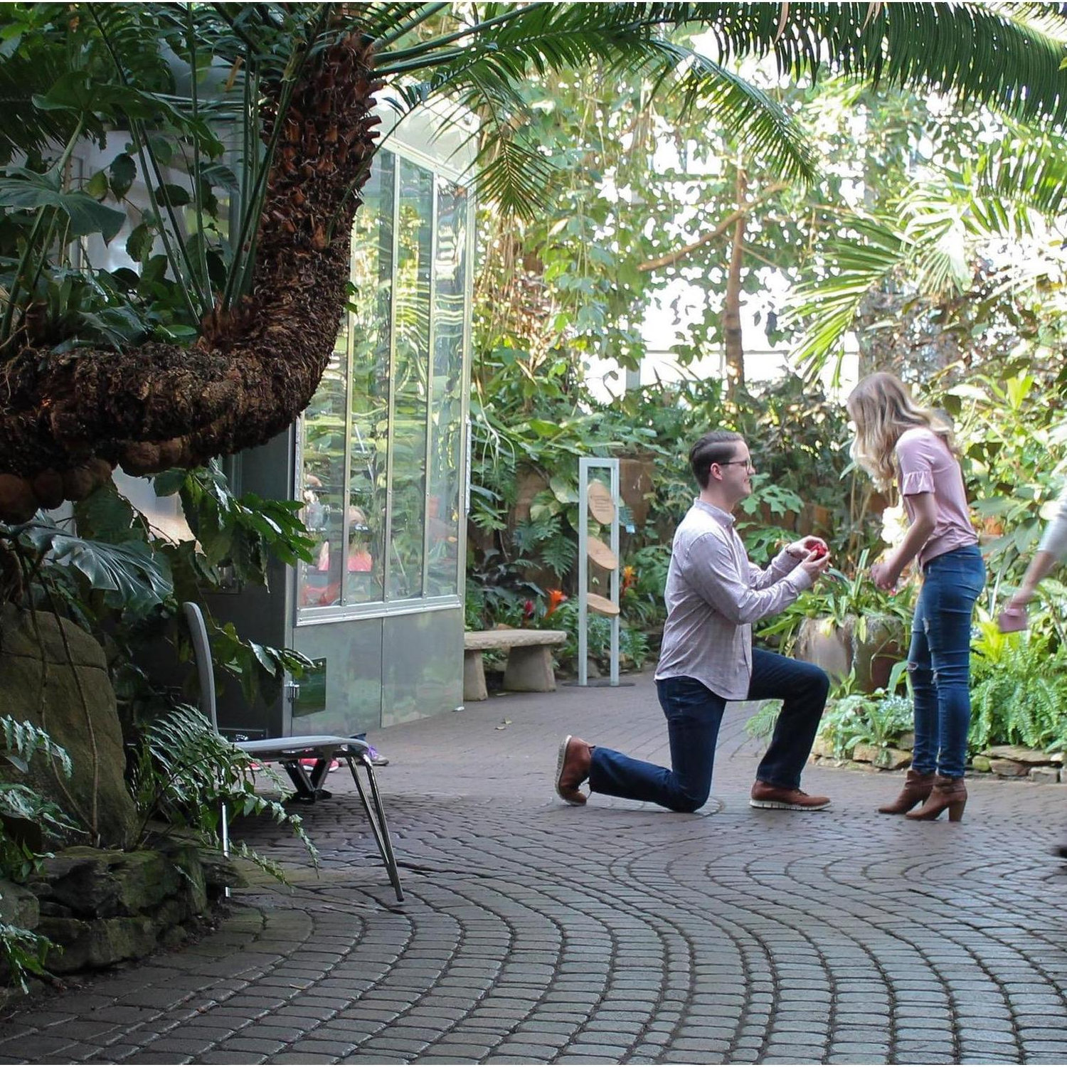 Jack's proposal at the beautiful Meijer Gardens.