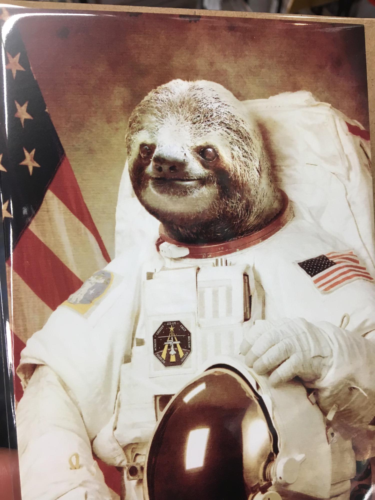 Sloth Astronaut 🇺🇸