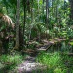 Wekiwa Springs State Park