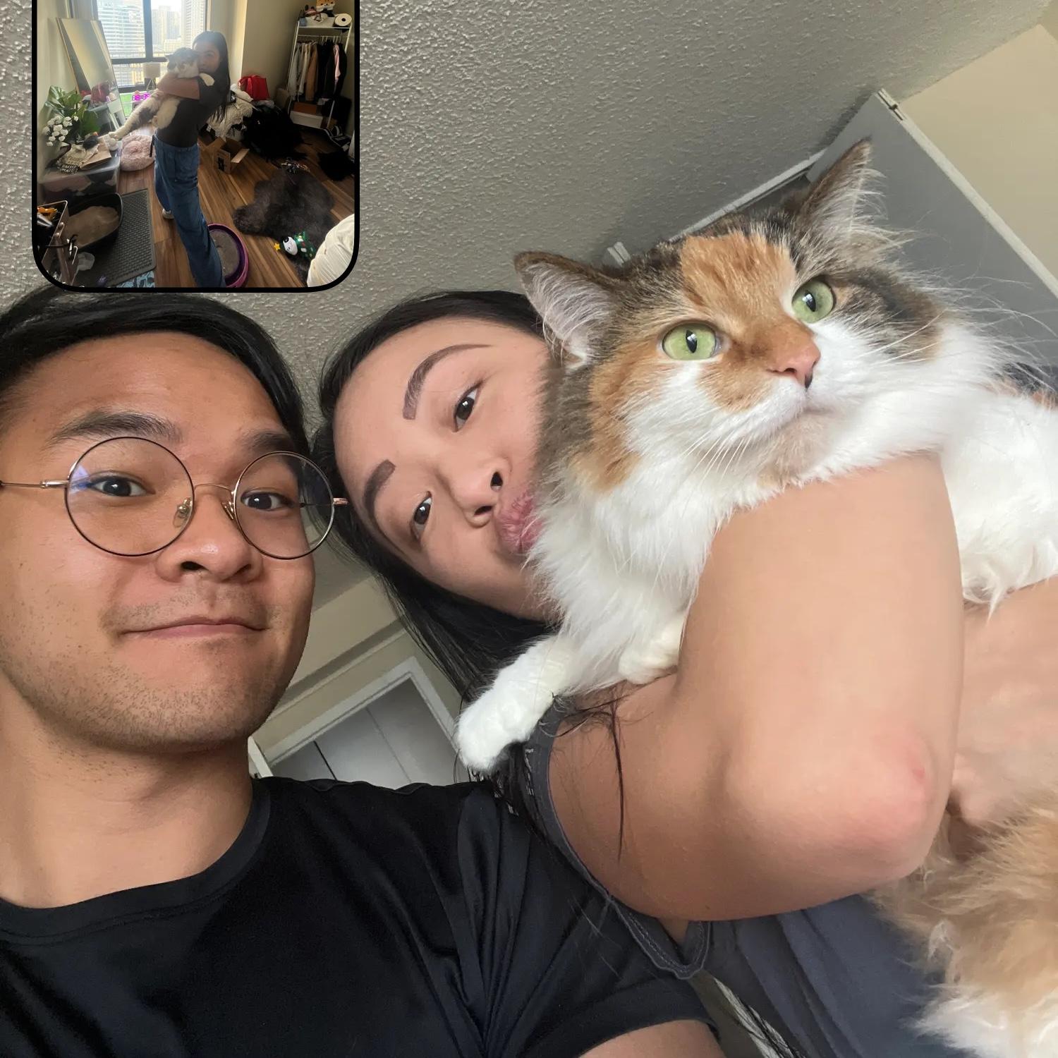 2023 - new cat who dis?