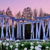 Collingwood Arboretum