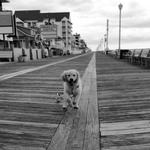 Boardwalk