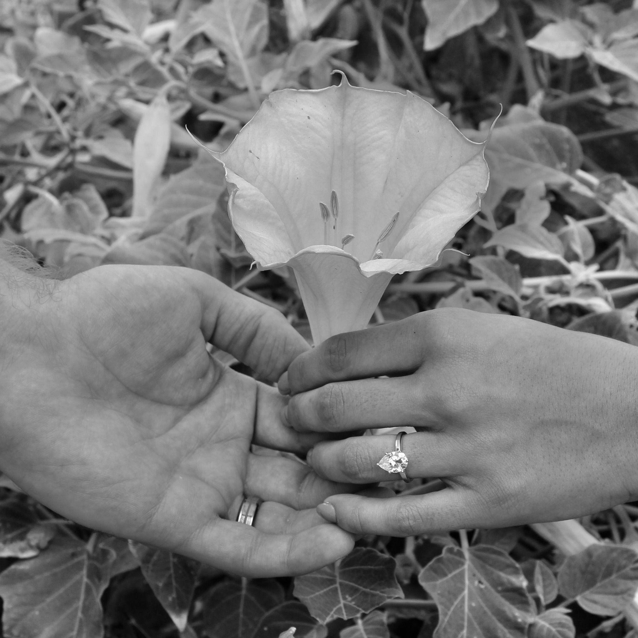 The Wedding Website of Carina Mangiacotti and T.J. Fox