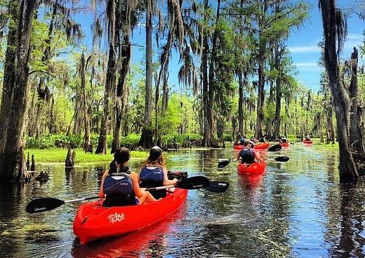 Kayak the Bayou