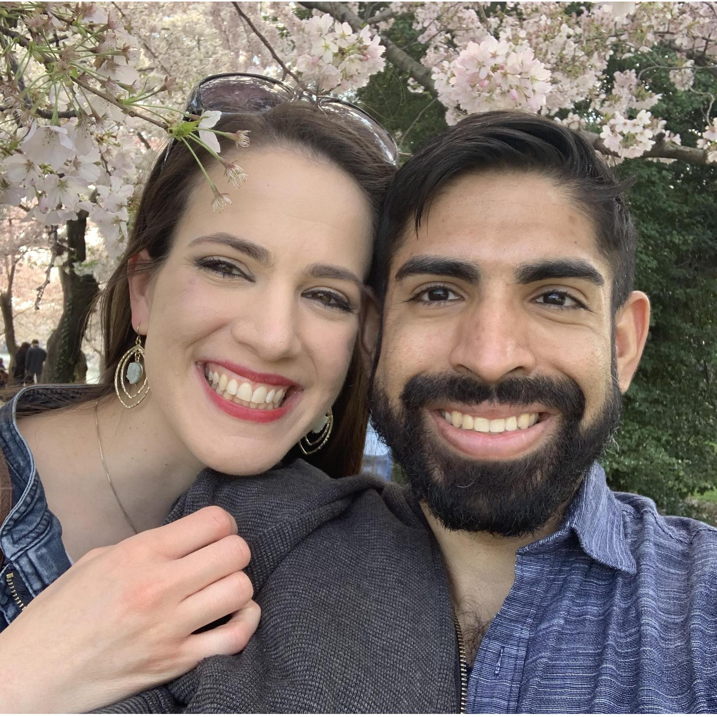 Cherry Blossoms 2019!